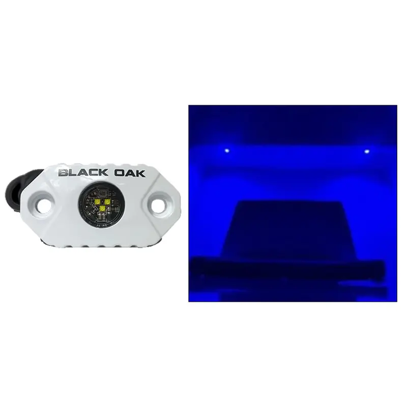 Black Oak Rock Accent Light - Blue Leds - White Housing [Mal-B] 1