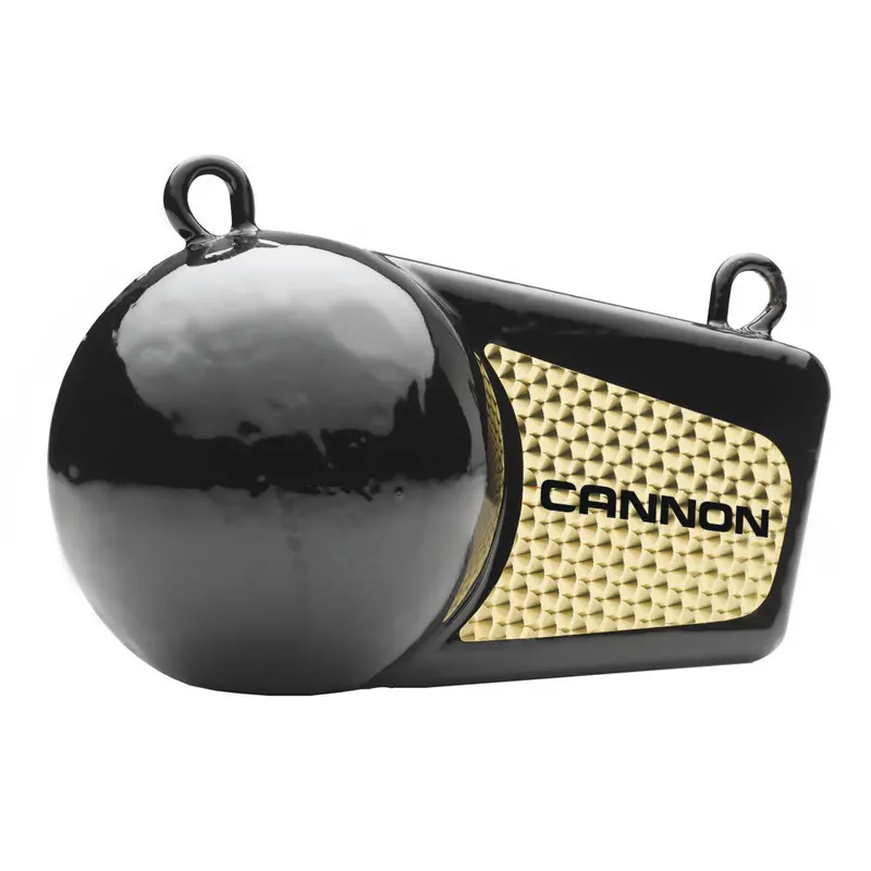 Cannon 4Lb Flash Weight [2295002] 1