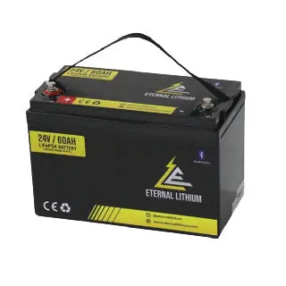 Eternal Lithium 24V 80Ah Battery 1