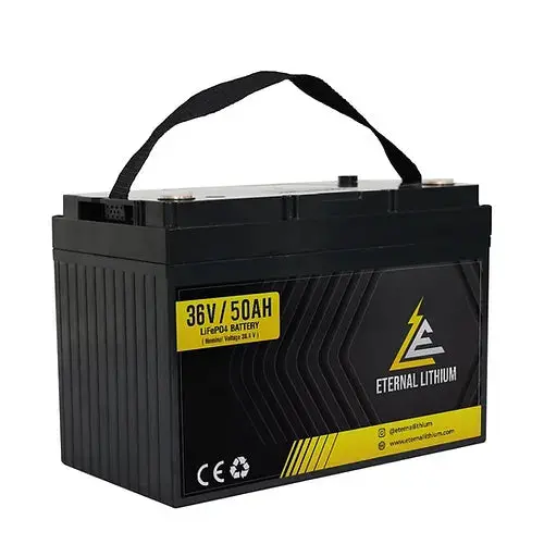 Eternal Lithium 36V 50Ah Lithium Battery 1