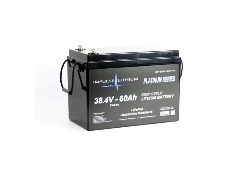 Impulse Lithium 36V 60Ah Platinum Series Bluetooth Battery 1