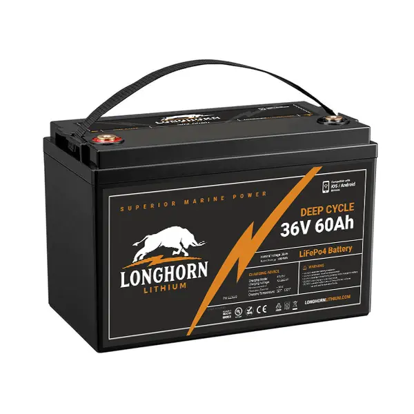 Longhorn Lithium 36V 60Ah Marine Battery 1