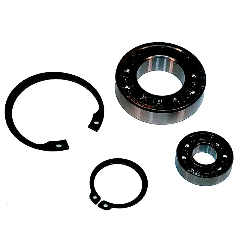 Maxwell Bearing Kit 300-3500 [P90007] 1