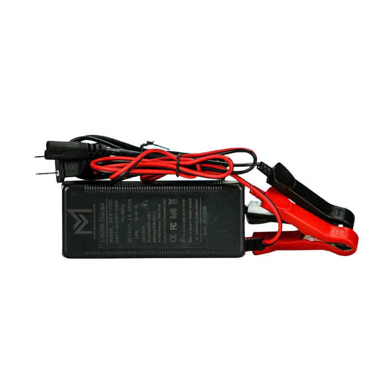 Monster Marine 12V 5A Lithium Battery Charger 1